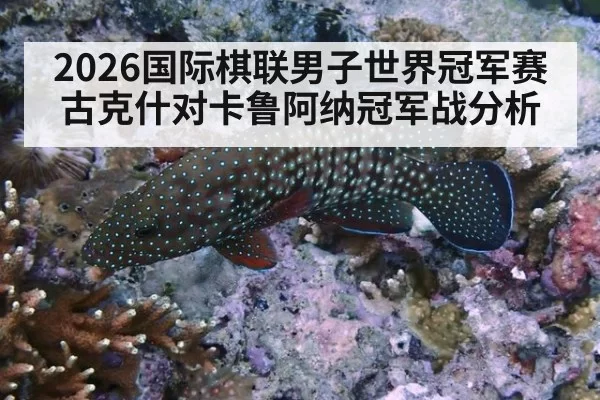 2026国际棋联男子世界冠军赛古克什对卡鲁阿纳冠军战分析